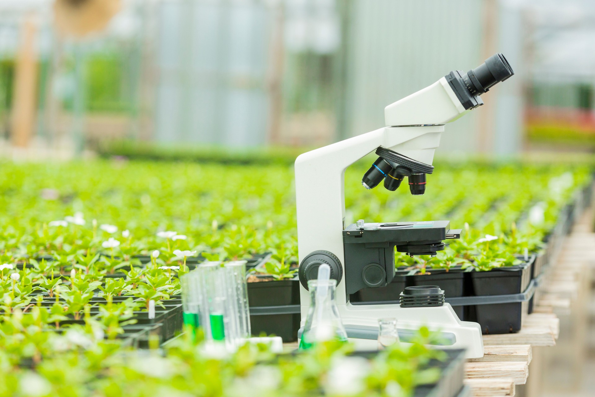 Microscope surrounded by plants