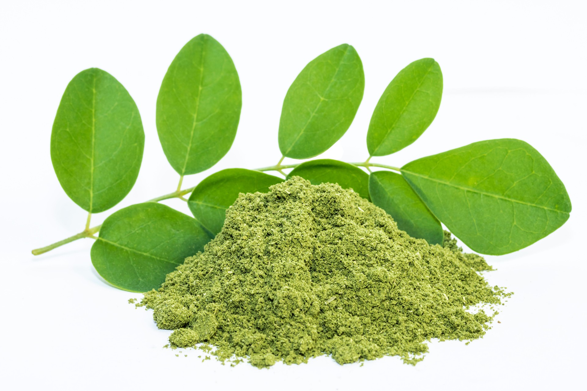 Moringa powder